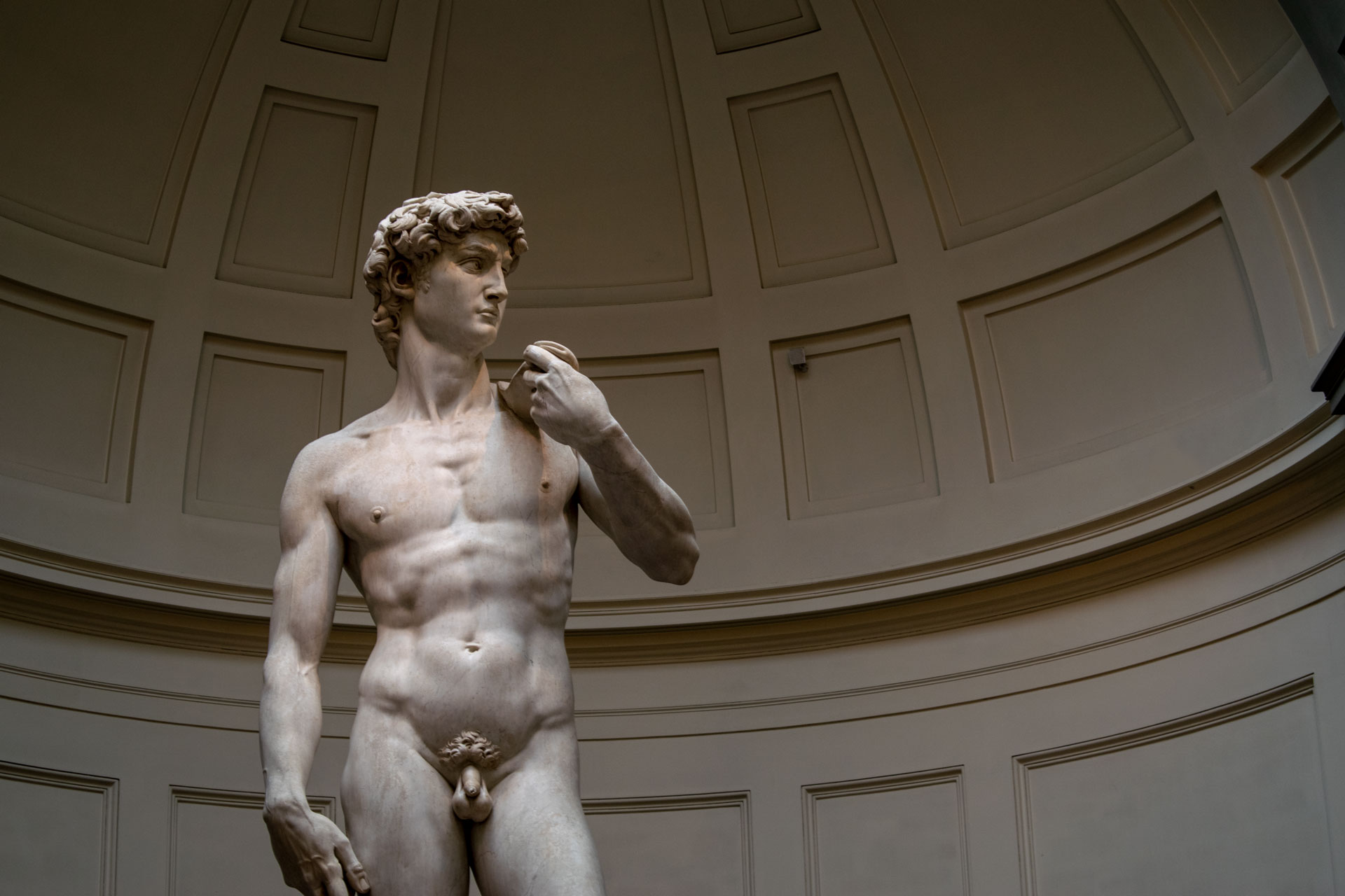 Skip-the-Line Ticket for the Accademia Gallery & Michelangelo’s David